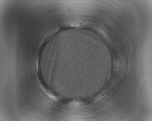 X0000067850404200605041720