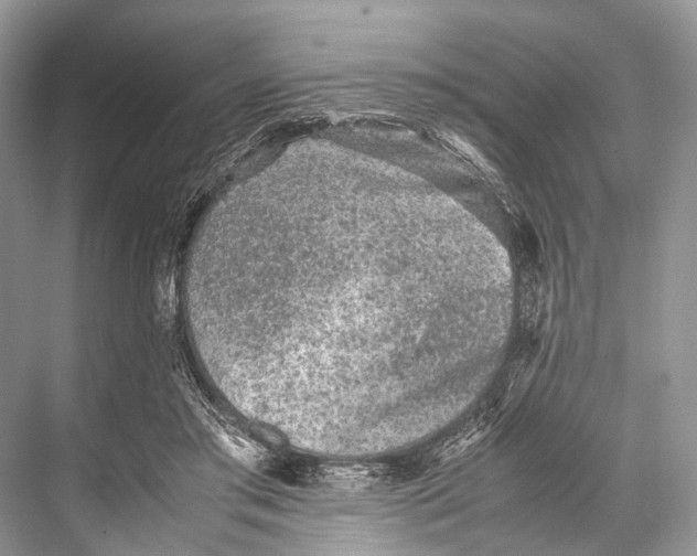 X0000067850405200605041720