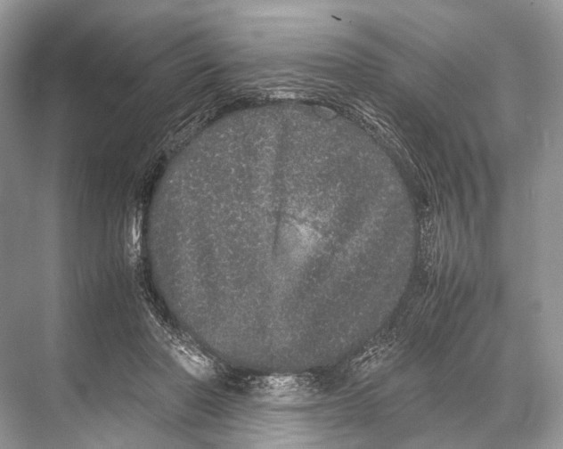 X0000067850406200605041720