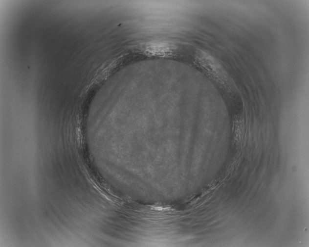 X0000067850408200605041720