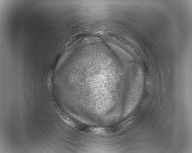 X0000067850409200605041720