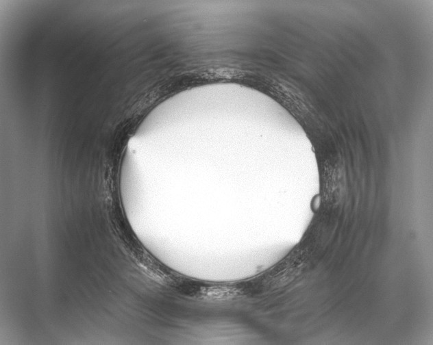 X0000067850414200605041720