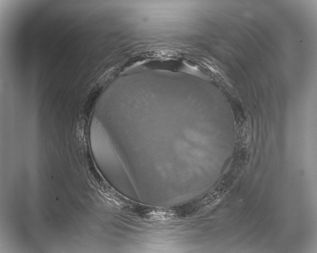 X0000067850415200605041720