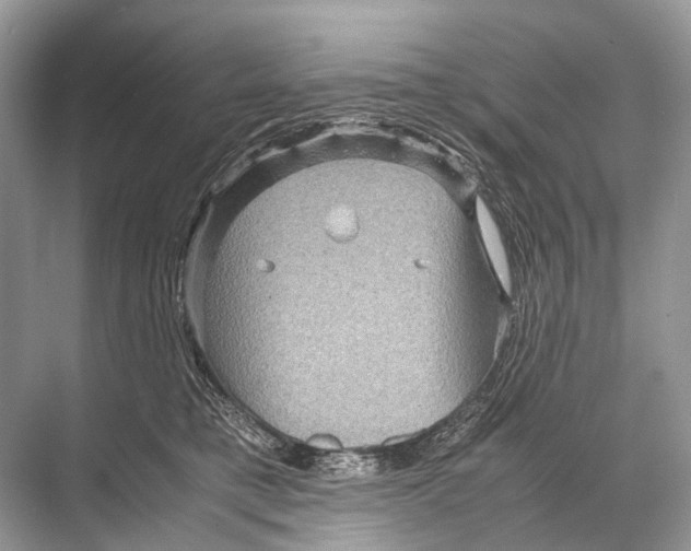 X0000067850421200605041720