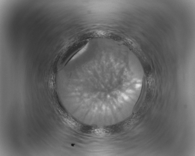 X0000067850423200605041720