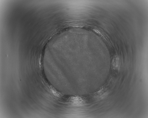 X0000067850424200605041720