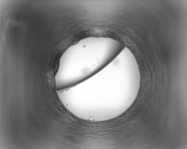 X0000067850425200605041720