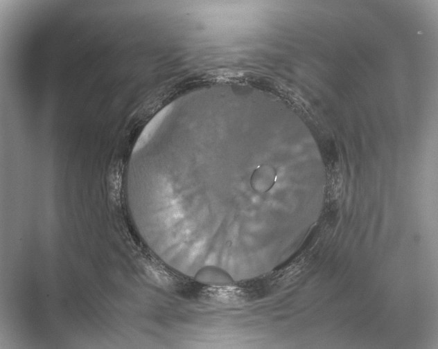 X0000067850427200605041720