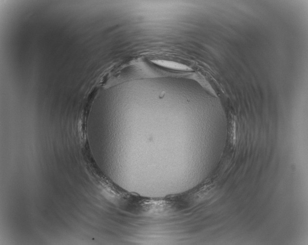 X0000067850428200605041720