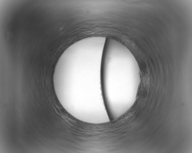 X0000067850429200605041720