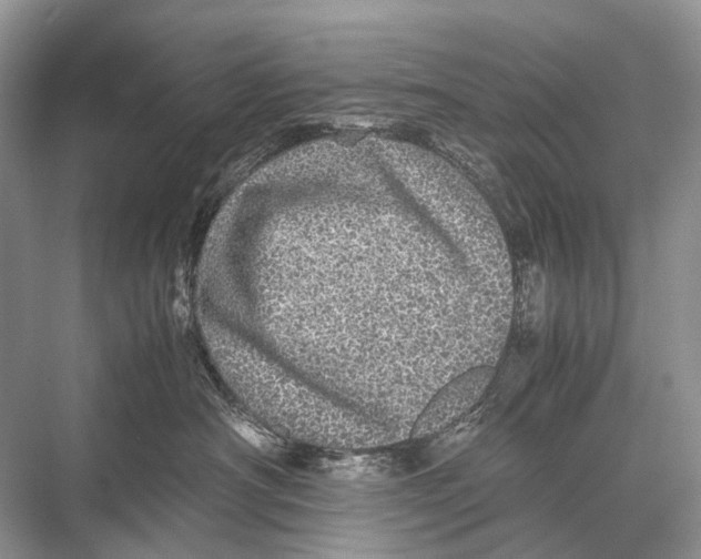 X0000067850430200605041720