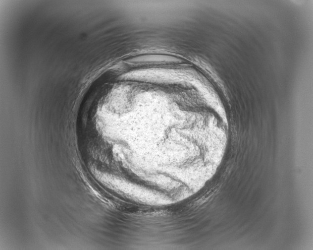 X0000067850433200605041719