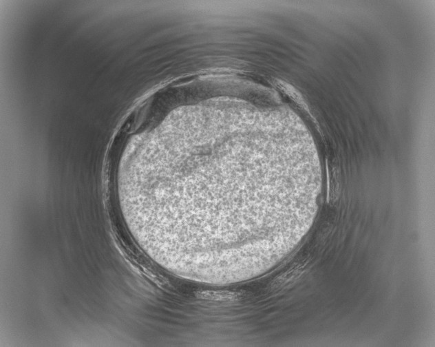 X0000067850435200605041719