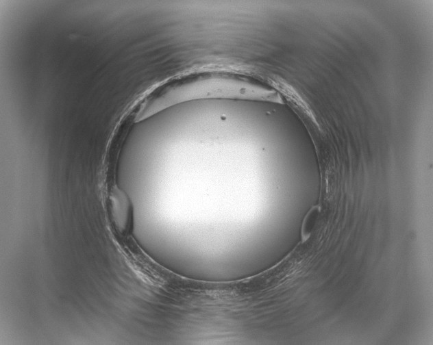 X0000067850436200605041719