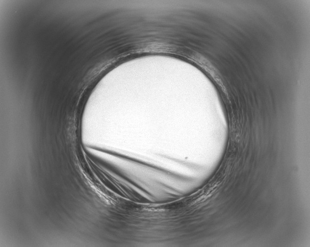 X0000067850437200605041719