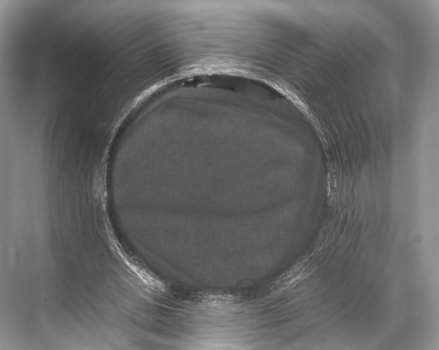 X0000067850438200605041719