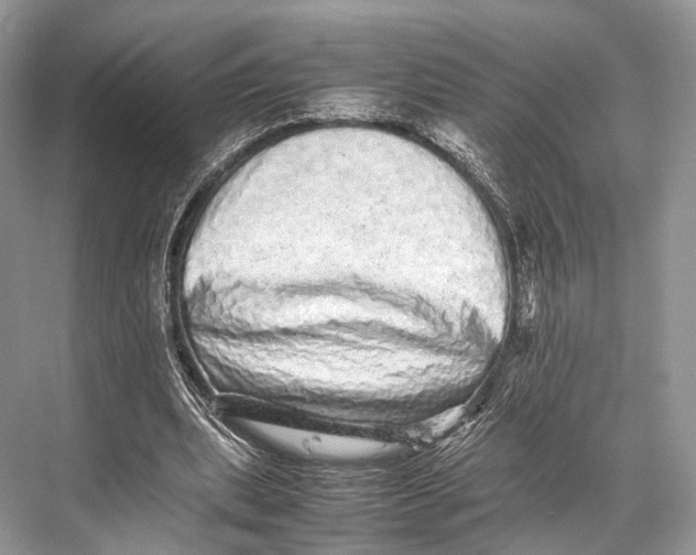 X0000067850439200605041719