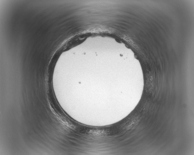 X0000067850440200605041719