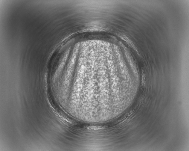 X0000067850444200605041719