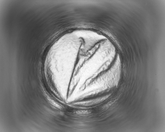 X0000067850445200605041719