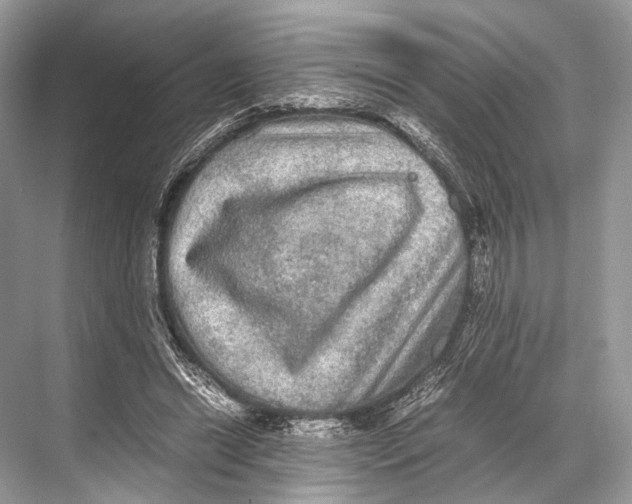 X0000067850446200605041719