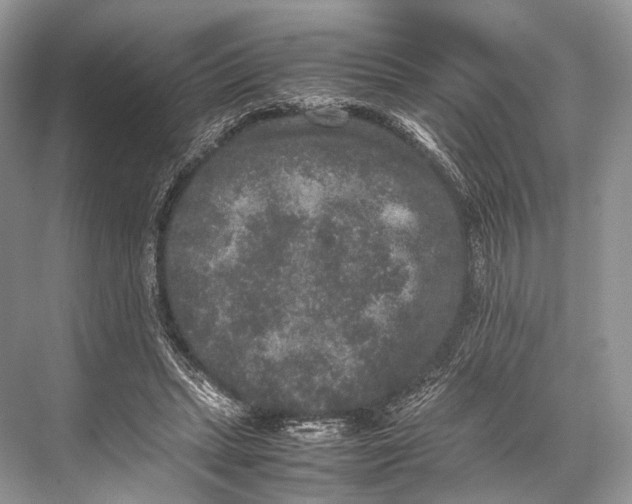 X0000067850447200605041719