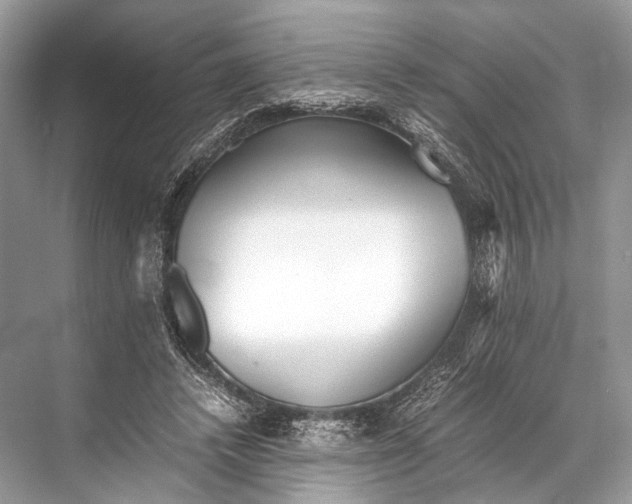 X0000067850448200605041719