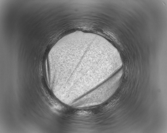 X0000067850453200605041720