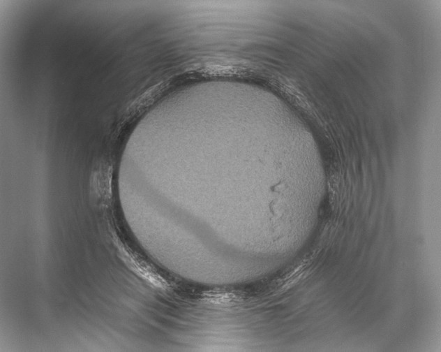 X0000067850454200605041720