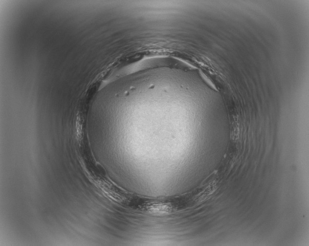 X0000067850456200605041720