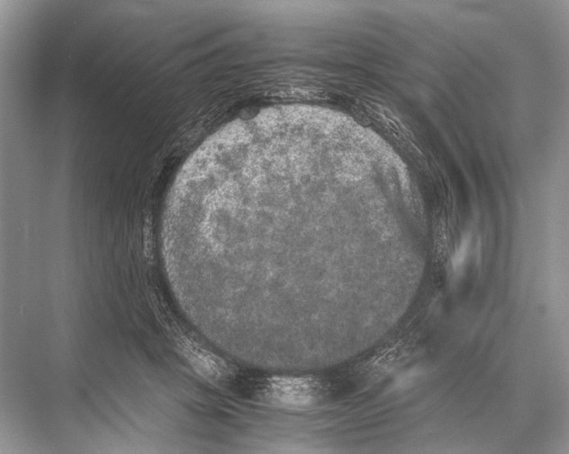 X0000067850457200605041720