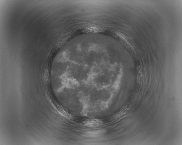 X0000067850459200605041720