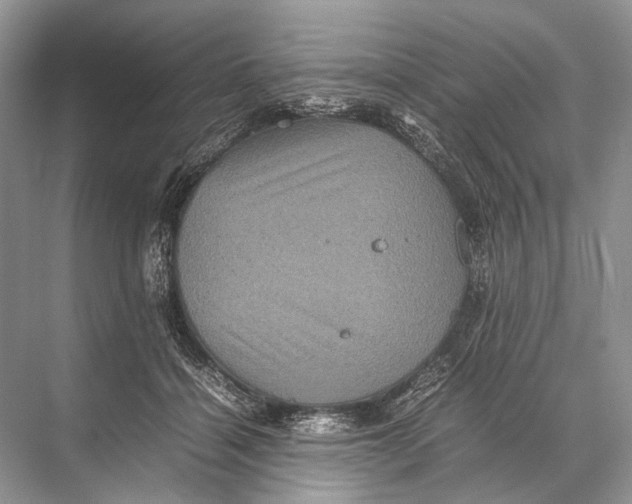 X0000067850460200605041720