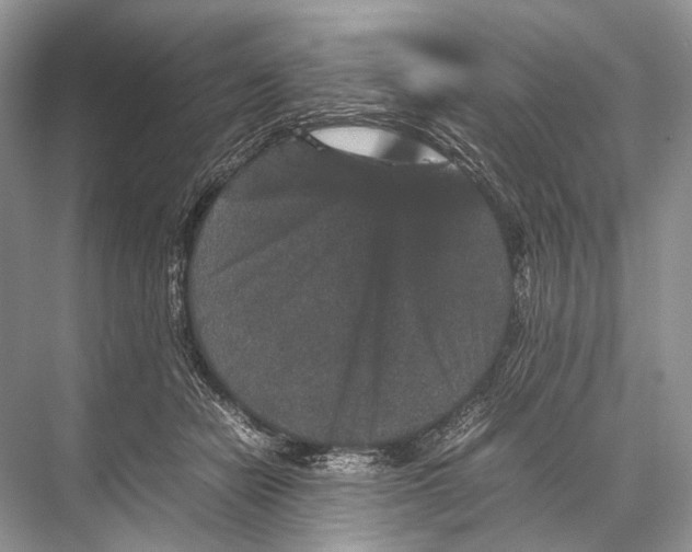 X0000067850462200605041720