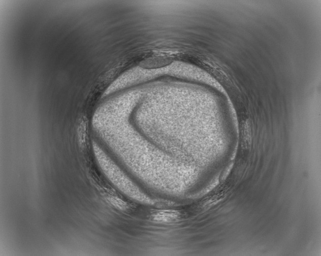 X0000067850463200605041720