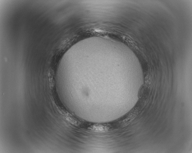 X0000067850464200605041720