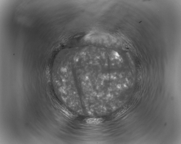 X0000067850465200605041720