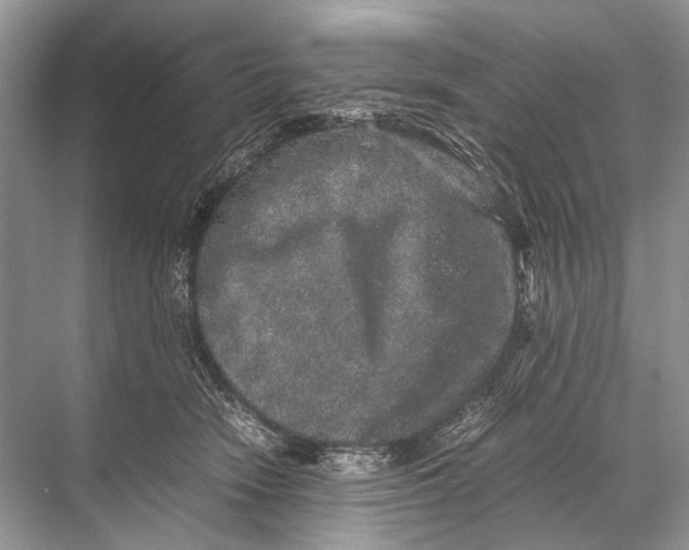 X0000067850466200605041720