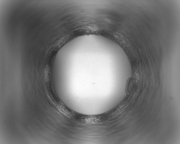 X0000067850468200605041720