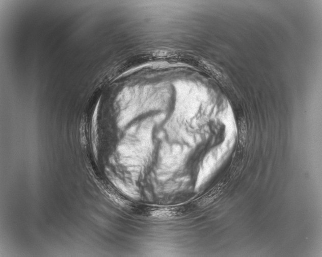 X0000067850470200605041720