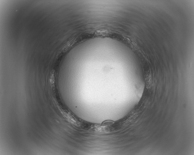 X0000067850472200605041720