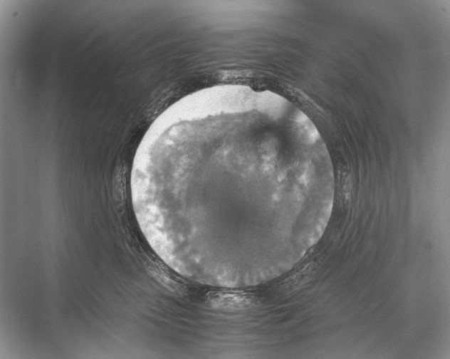 X0000067850475200605041720