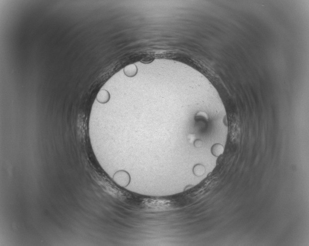 X0000067850476200605041720