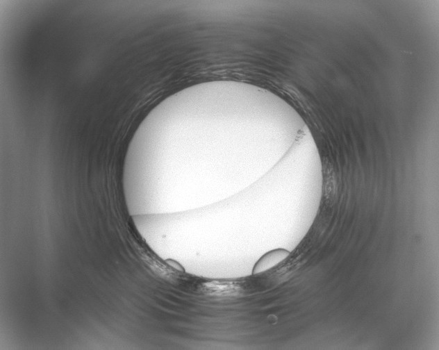 X0000067850477200605041720