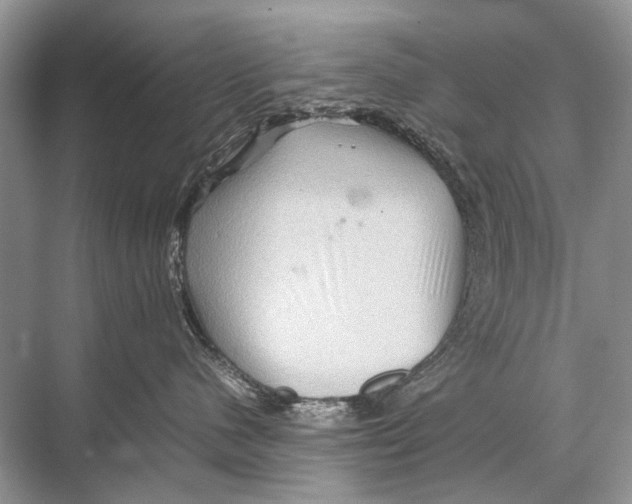 X0000067850480200605041720