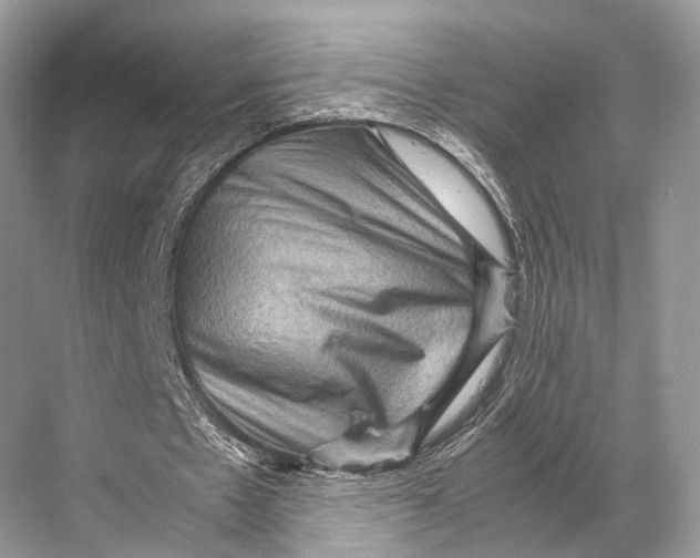 X0000067850481200605041719