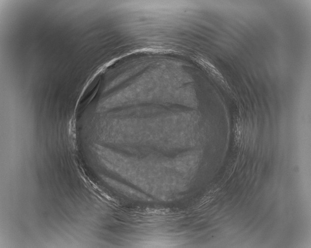 X0000067850484200605041719