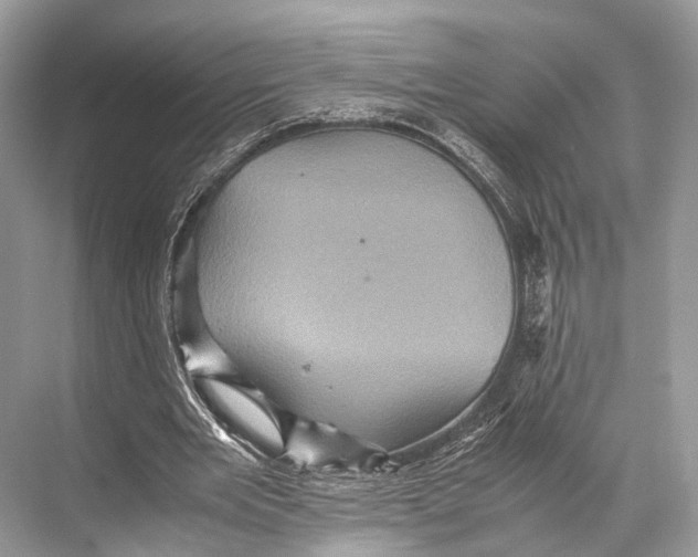 X0000067850485200605041719