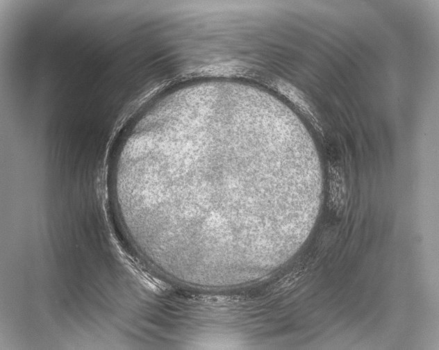 X0000067850486200605041719