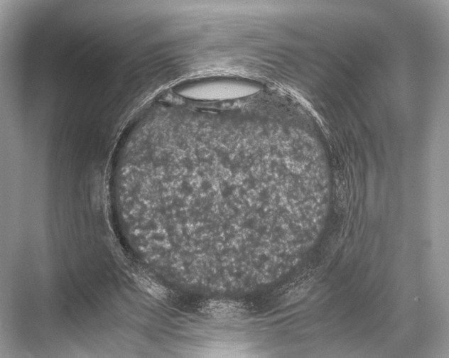 X0000067850487200605041719